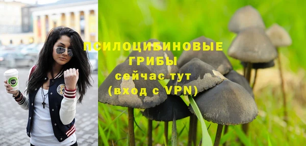 хмурый Абаза