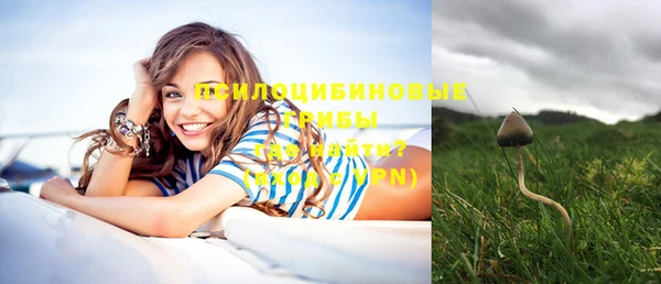 хмурый Абаза