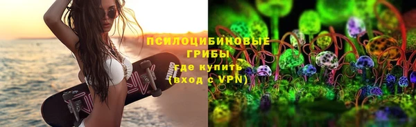 хмурый Абаза