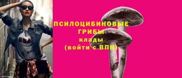 хмурый Абаза