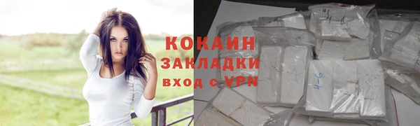 хмурый Абаза