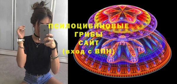 хмурый Абаза