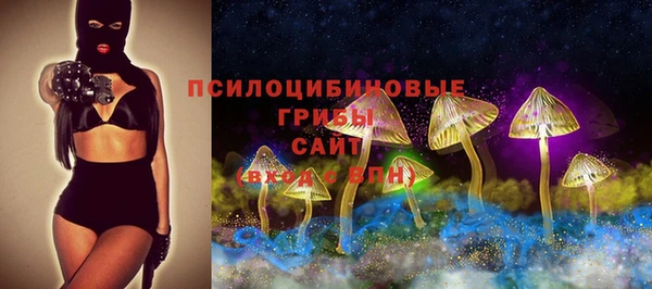 хмурый Абаза