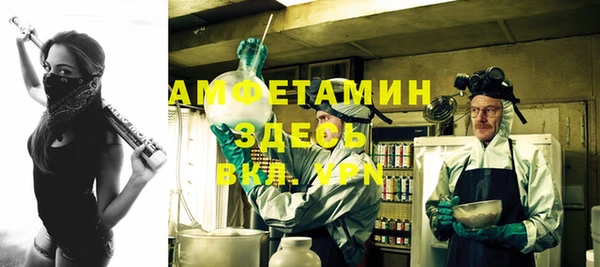 хмурый Абаза