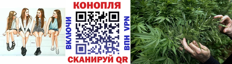 Конопля индика mega рабочий сайт Анапа